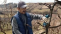PRO Pro Pruner image 7