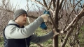 PRO Pro Pruner image 8