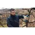 Pro Pruner Professional image 11