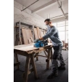 GBS 750 Professional image 3