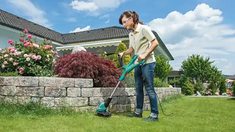 Lawn Edge Trimmer ART 30 image 3