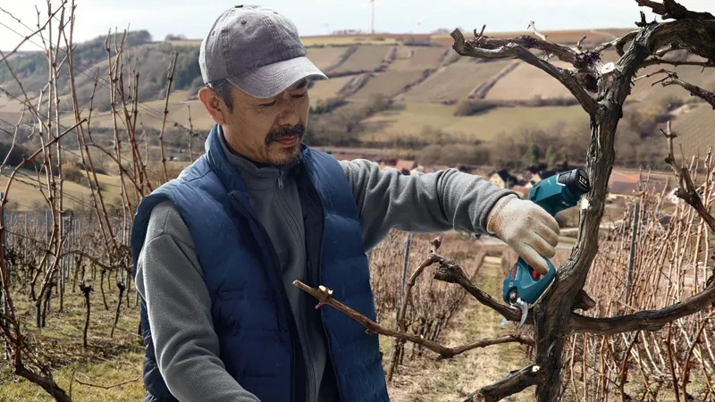 PRO Pro Pruner image 7