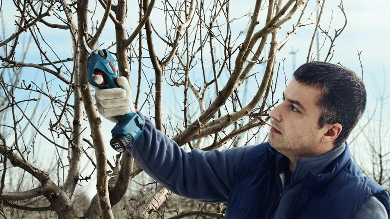 PRO Pro Pruner image 9